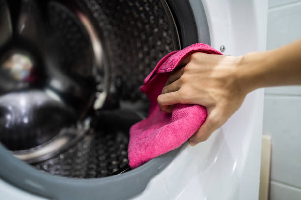 Best Air Quality Testing for Mold Spores  in Stanton, MI