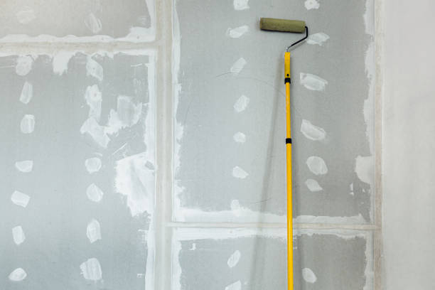 Best Comprehensive Air Testing for Mold Contaminants  in Stanton, MI