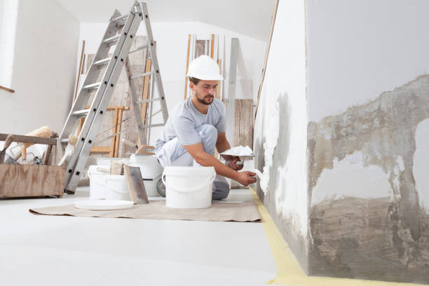 Dehumidification Services in Stanton, MI