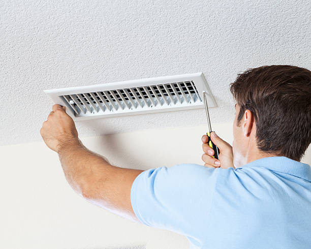 Best Dehumidification Services  in Stanton, MI