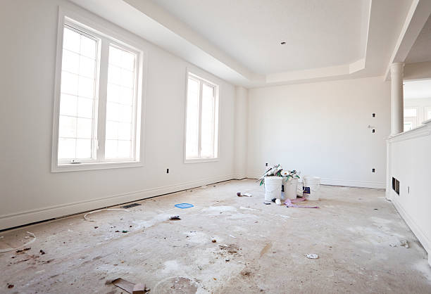 Biohazard Mold Removal in Stanton, MI