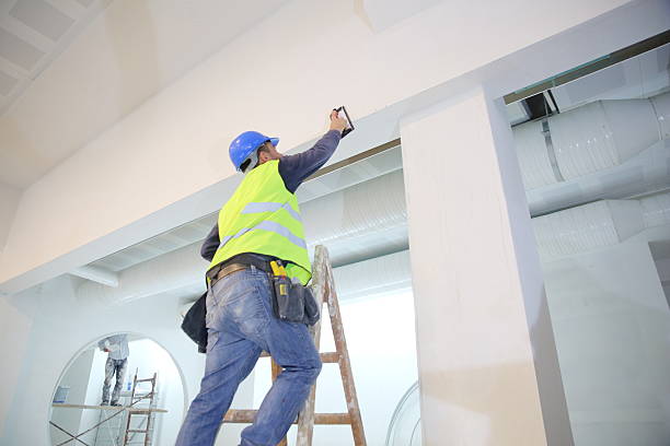 Best Mold Damage Restoration  in Stanton, MI
