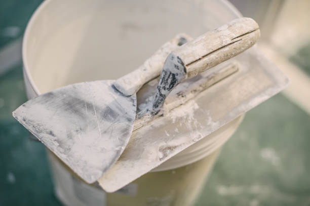 Best HVAC Mold Inspection and Cleaning  in Stanton, MI