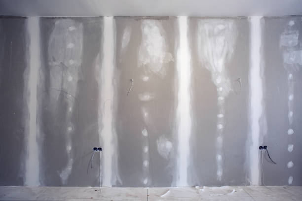 Best Mold Prevention Services  in Stanton, MI